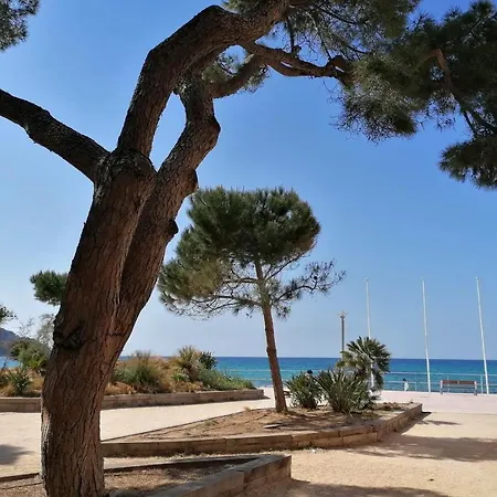 Apartament Plage Des Lecques - 40 M Apartment With Terrace And 110M Garden